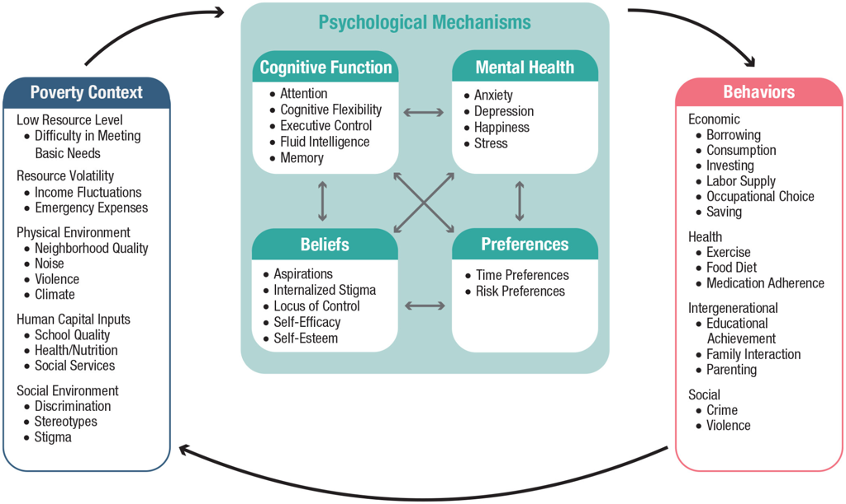 Conceptual framework for the AI-driven literature review visualization project